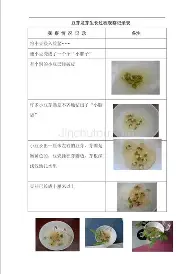 最新：Scout总积分吗(scout v)